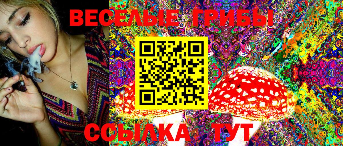 Галлюциногенные грибы Cubensis  Вход с VPN  где купить наркоту  Камень-на-Оби 